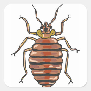 Bed Bug Sketch Quadratischer Aufkleber
