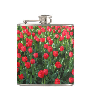 Bed of Red Tulips 01 Flachmann