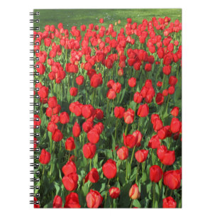 Bed of Red Tulips 02 Notizblock
