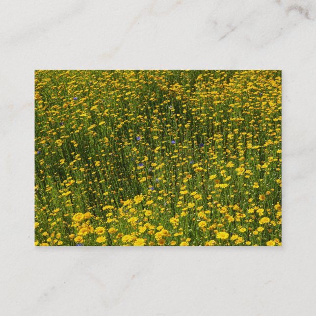 Bed of Yellow Daisies Visitenkarte (Vorderseite)