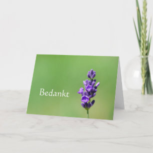 Bedankt - Merci en néerlandais avec fleur lavande