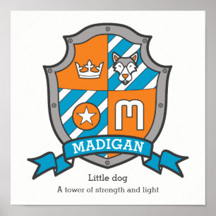 Bedeutung des Namens Madigan als Jungenname, Buchs Poster