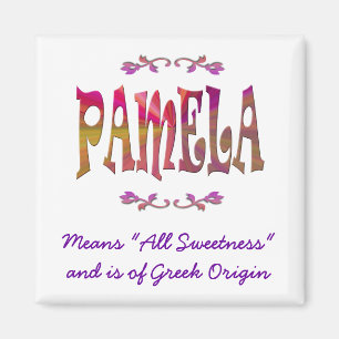 Bedeutung von Pamela-Magneten Magnet