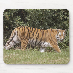 Bedfordshire, England 2 Mousepad