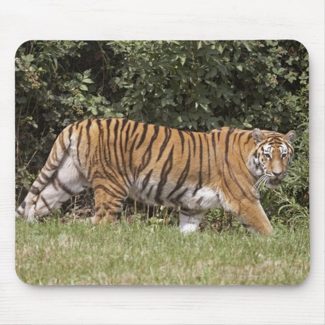 Bedfordshire, England 2 Mousepad (Vorne)