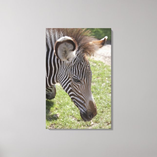 Bedfordshire, England Leinwanddruck (Vorderseite)