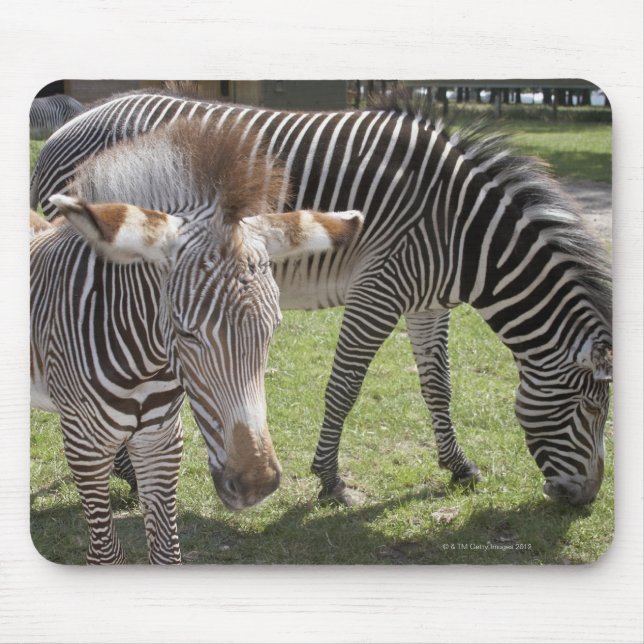 Bedfordshire, England Mousepad (Vorne)