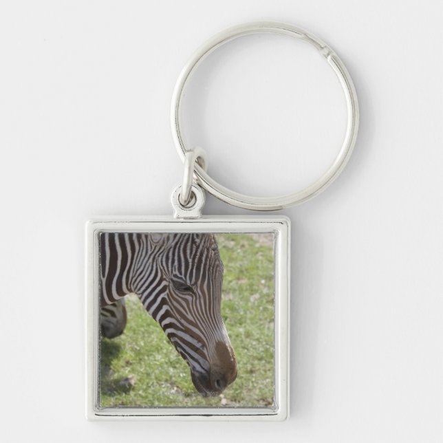 Bedfordshire, England Schlüsselanhänger (Vorne)