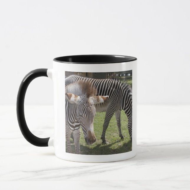 Bedfordshire, England Tasse (Links)