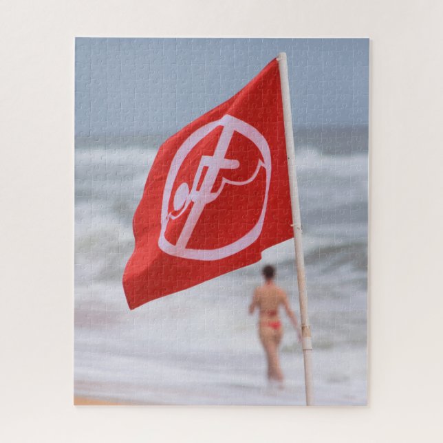 Bedingungen für die rote Flagge — 16x20 (Vertikal)