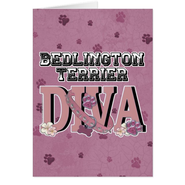 Bedlington Terrier DIVA (Vorne)