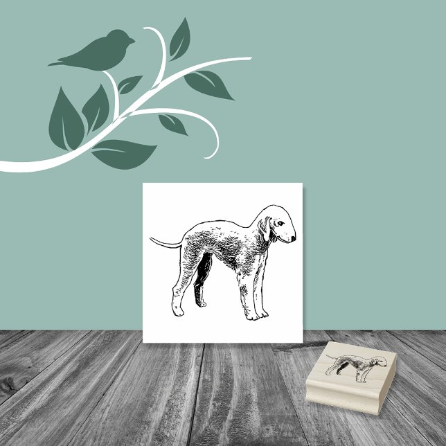 Bedlington Terrier Dog Breed Gummistempel (Von Creator hochgeladen)