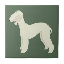 Bedlington Terrier