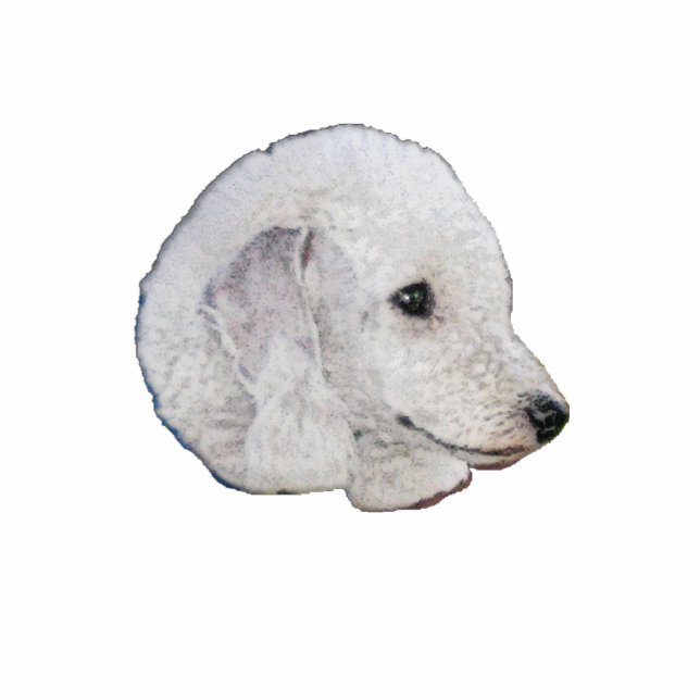 Bedlington Terrier Freistehende Fotoskulptur (Vorne)