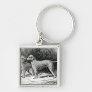 Bedlington Terrier-Herr F. Armstrongs Schlüsselanhänger
