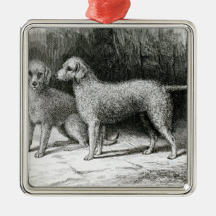Bedlington Terrier-Herr F. Armstrongs Silbernes Ornament