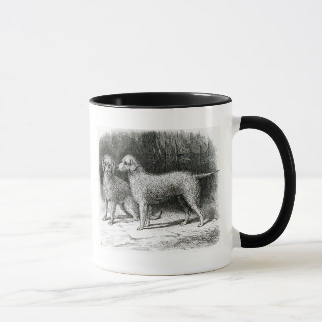 Bedlington Terrier-Herr F. Armstrongs Tasse (Rechts)