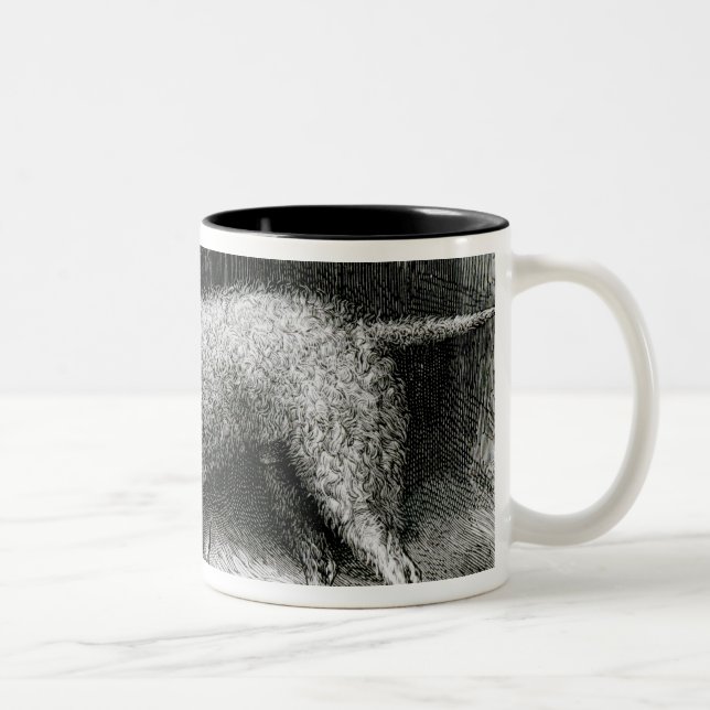 Bedlington Terrier-Herr F. Armstrongs Zweifarbige Tasse (Rechts)