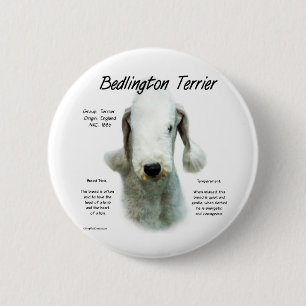 Bedlington Terrier History; alles über Bedlingtons Button