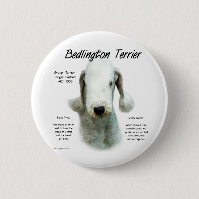 Bedlington Terrier History; alles über Bedlingtons Button (Vorderseite)