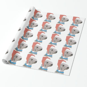 Bedlington Terrier im Geschenkpapier