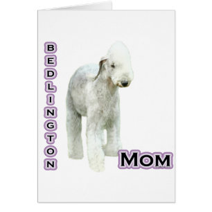 Bedlington Terrier Mama 4