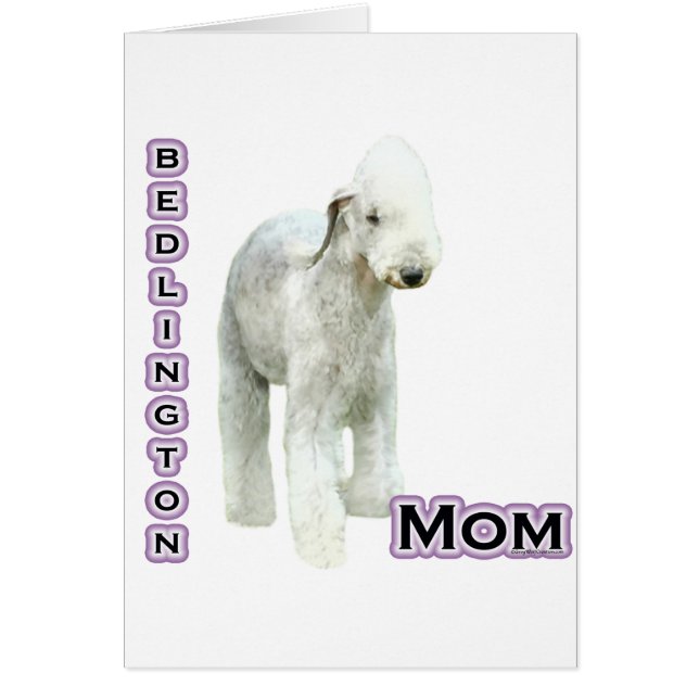 Bedlington Terrier Mama 4 (Vorne)
