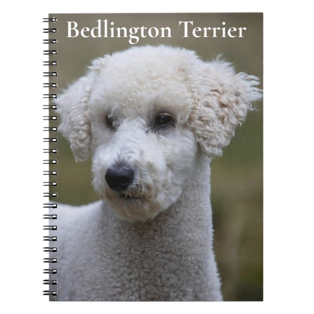 Bedlington Terrier Notizbuch Notizblock (Vorderseite)