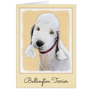 Bedlington Terrier Painting - Original Dog Art