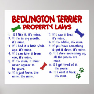 BEDLINGTON TERRIER PL2 POSTER