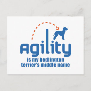 Bedlington Terrier Postkarte