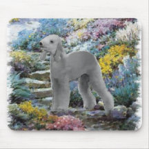 Bedlington Terrier Summer Garden