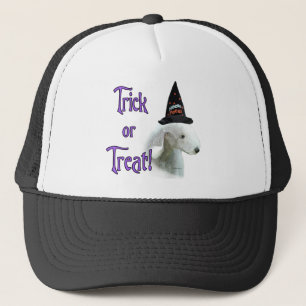 Bedlington Terrier Trick Truckerkappe