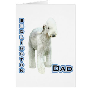 Bedlington Terrier Vater 4