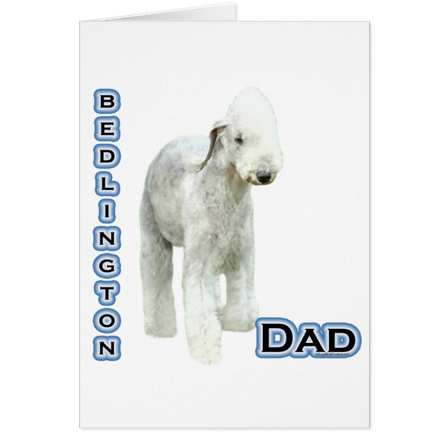 Bedlington Terrier Vater 4 (Vorne)