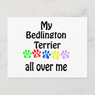Bedlington Terrier Walks Design Postkarte