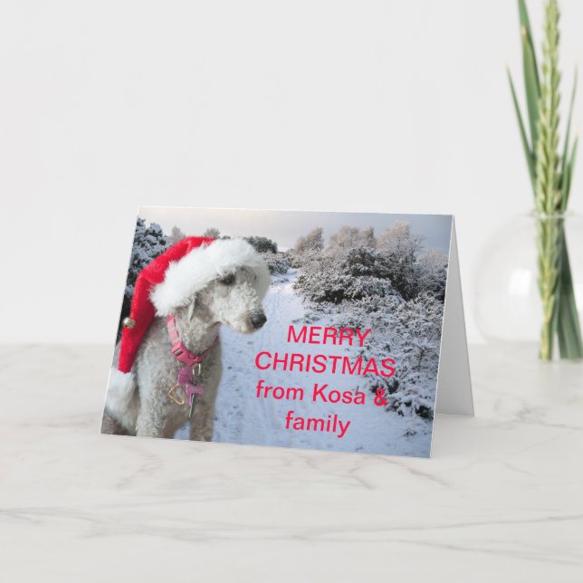 Bedlington Terrier Weihnachtskarte Feiertagskarte (Vorderseite)