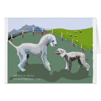 Bedlington Terriers - Treffen Sie Ihren Held