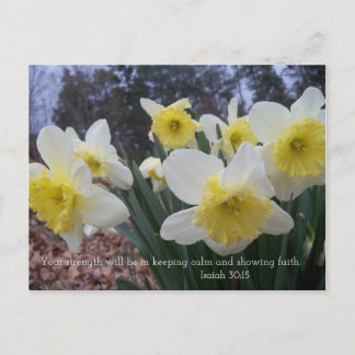 bedruckt mit Isaiah 30:15 Postkarte
