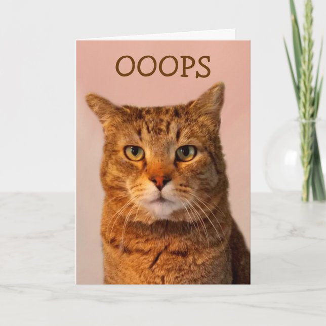 Bedrückte Katzenapologie Karte (Vorderseite)