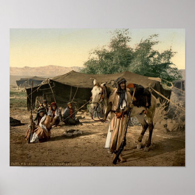 Beduinenzelt im Heiligen Land Poster (Vorne)