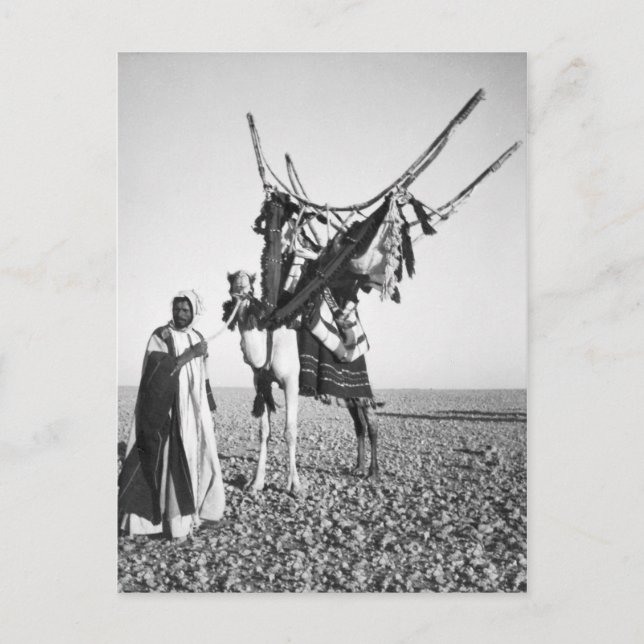 Beduiner und Kamel, Syrien Postkarte (Vorderseite)