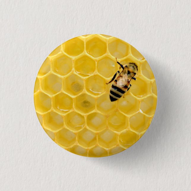 bee and honeycomb button (Vorderseite)