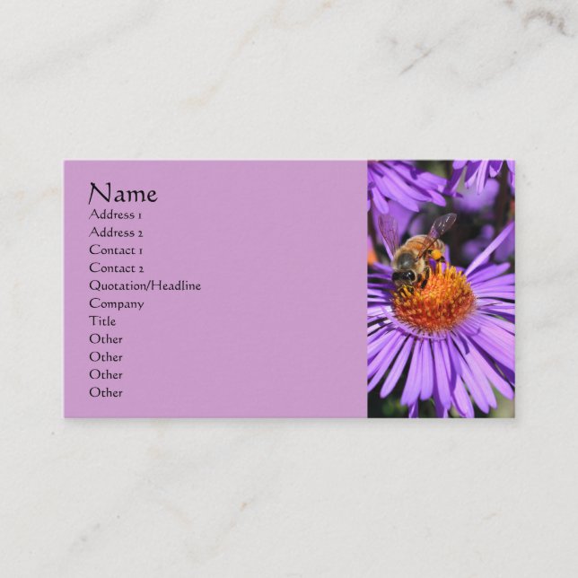 Bee Aster Blume Naturfotografie Visitenkarte (Vorderseite)