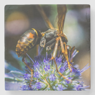 Bee Aware Marble Stone Untersetzer