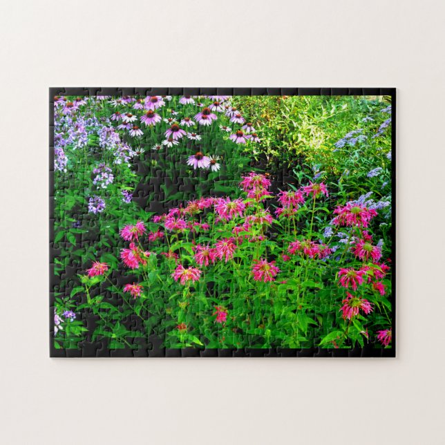 Bee Balm (Horizontal)