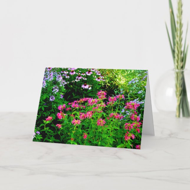 Bee Balm Dankeskarte (Vorderseite)