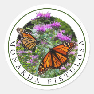 Bee Balm Monarda und Monarch Butterfliegen Runder Aufkleber
