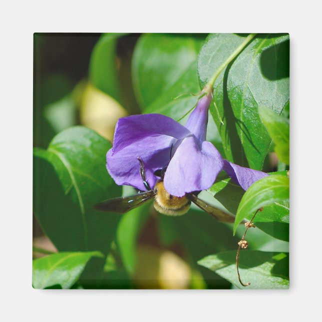 Bee Busy Magnet (Vorne)