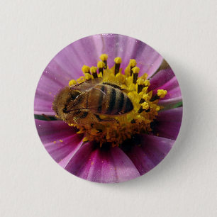 Bee Cosmo, Honey Bee und Cosmo Blume Button